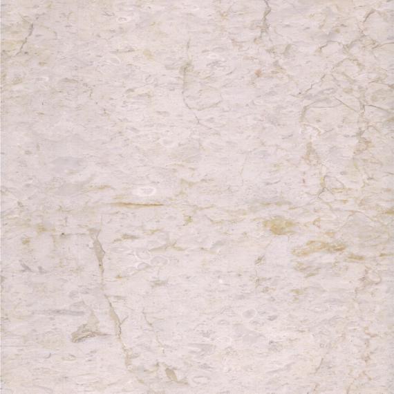 marbre beige fossilifère pour application à l'intérieur