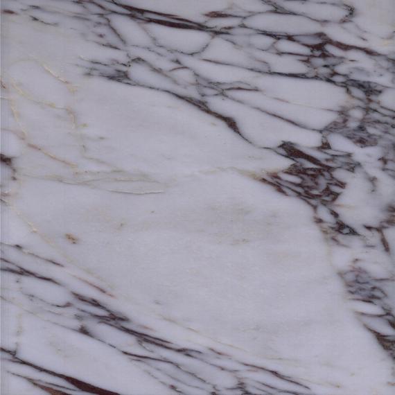 elegat marbre veiné blanc pour intérieur